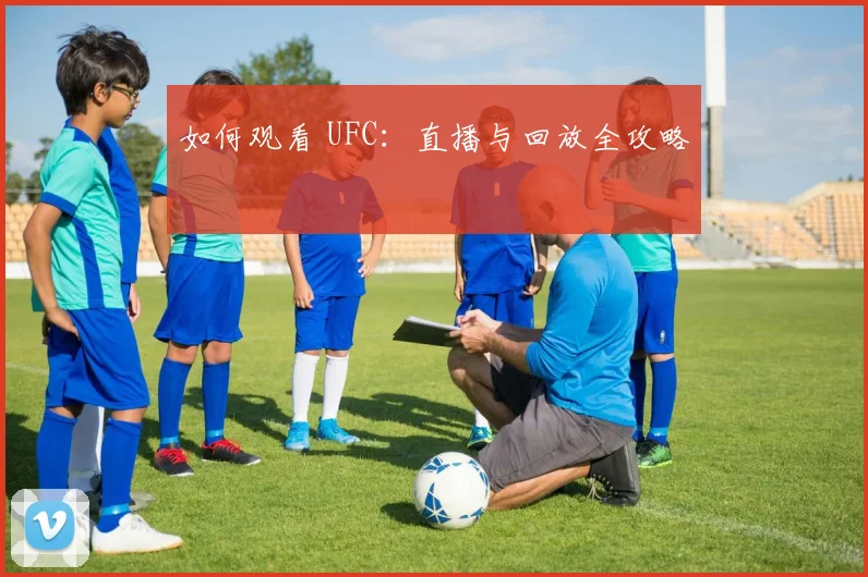 如何观看 UFC:直播与回放全攻略