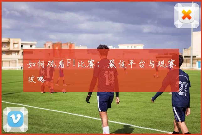 如何观看F1比赛：最佳平台与观赛攻略