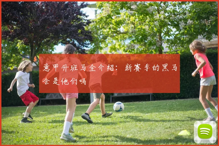 意甲升班马全介绍:新赛季的黑马会是他们吗