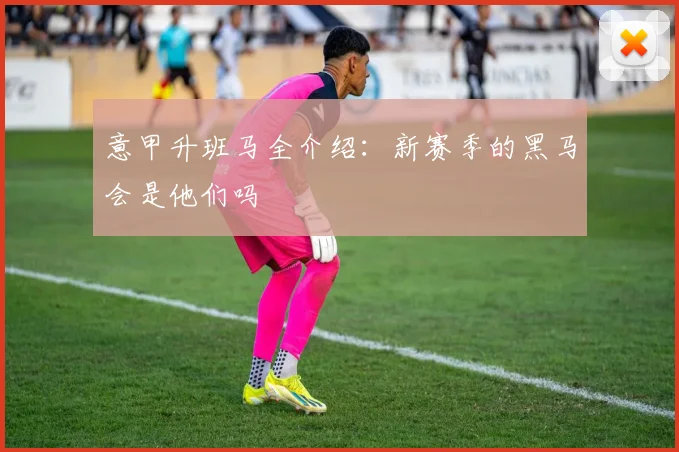 意甲升班马全介绍：新赛季的黑马会是他们吗
