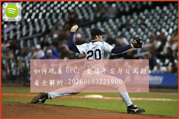 如何观看 UFC:直播平台与订阅指南全解析_20260603221900